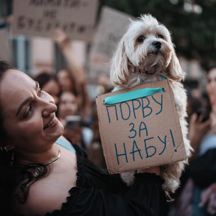 Как президент Зеленский перестал быть «сакральной фигурой»